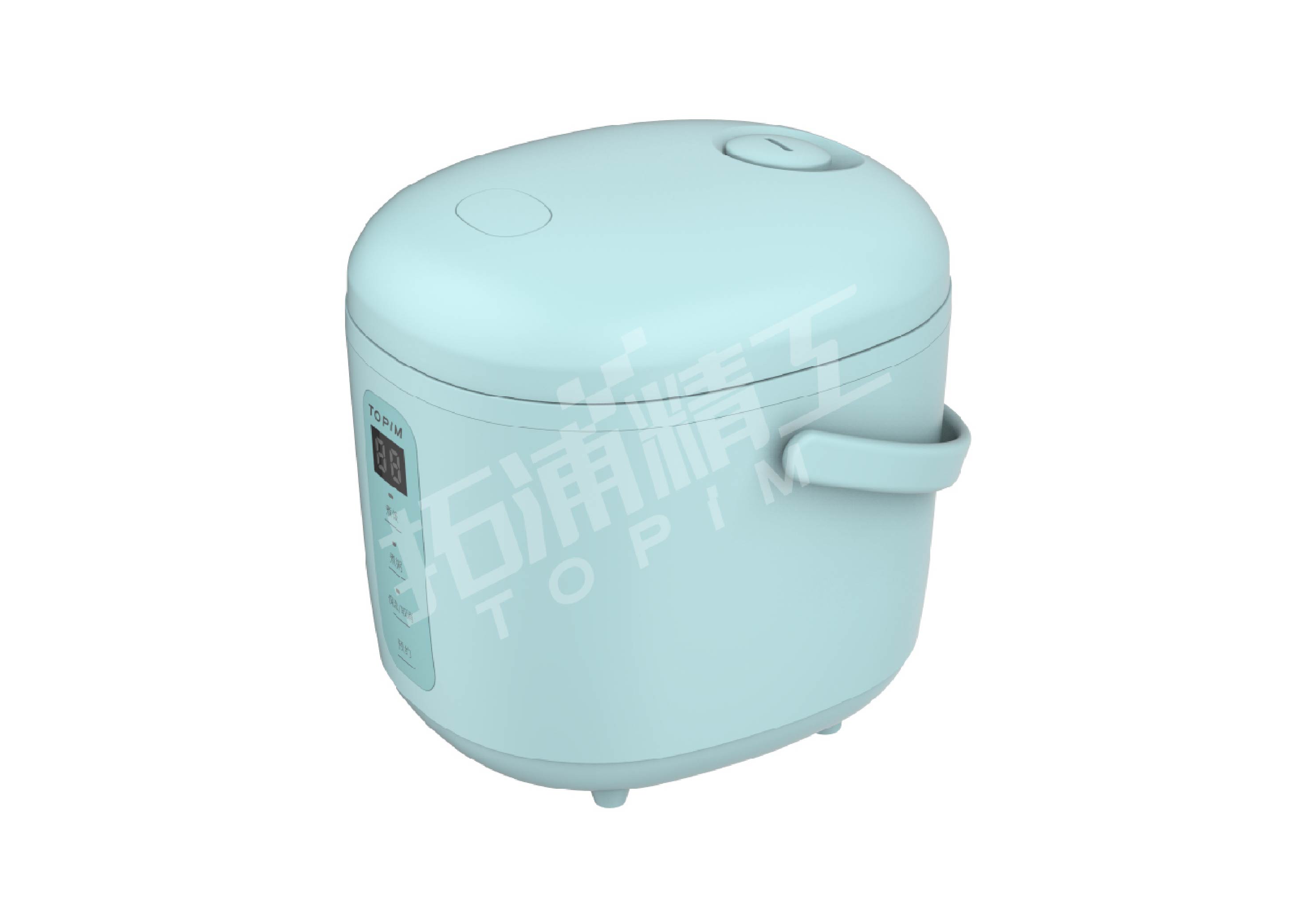 Mini rice cooker